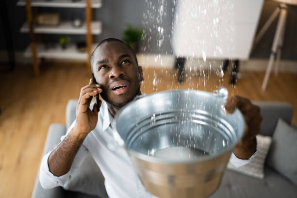 Best Emergency water damage restoration  in Brevard, NC