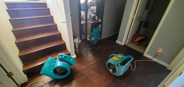Best Sewage cleanup and water damage restoration  in Brevard, NC