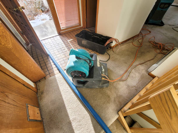 Best Residential water damage restoration  in Brevard, NC