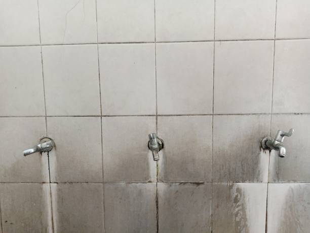 Best Water damage restoration near me  in Brevard, NC