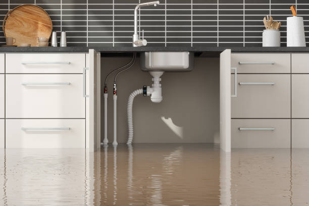 Best Sewage cleanup and water damage restoration  in Brevard, NC